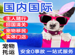 临沧博尚机场快运国际宠物托运 【国